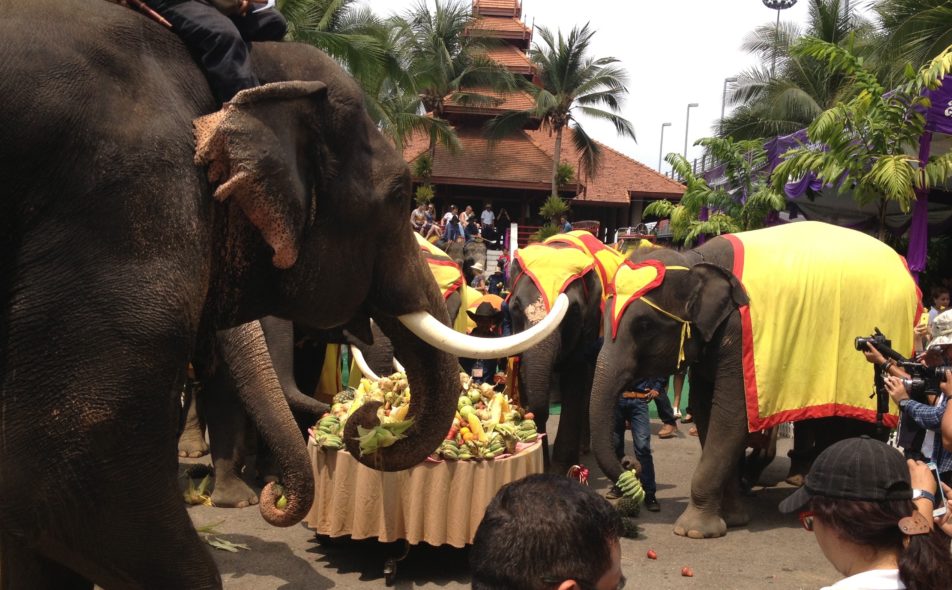 Elephant Day celebration